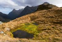 Park Pass, Aspiring National Park, New Zealand